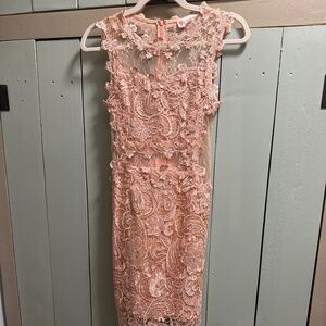 Peach lace appliqué dress